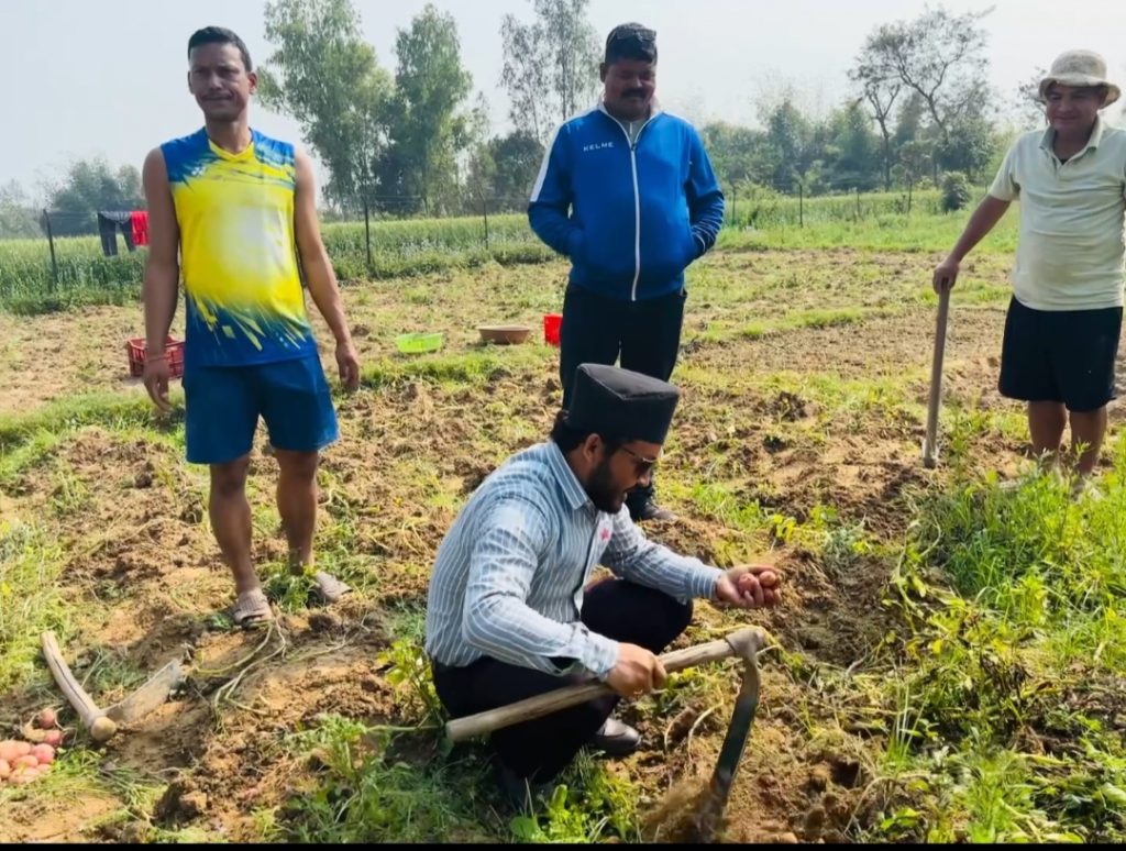 दिपेन्द्र विष्ट किसानको खेतमा पुगेर आलु र तरकारी व्यवस्थापनमा लागेपछि स्थानीय उत्साहित