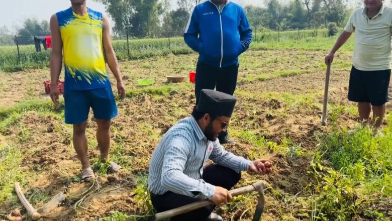 दिपेन्द्र विष्ट किसानको खेतमा पुगेर आलु र तरकारी व्यवस्थापनमा लागेपछि स्थानीय उत्साहित