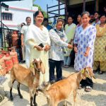 युवा महिलाको सशक्तीकरणका लागि बर्दियाका ३० युवतीलाई स्टार्ट–अप सहयोग