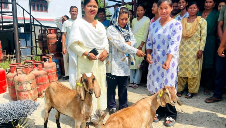 युवा महिलाको सशक्तीकरणका लागि बर्दियाका ३० युवतीलाई स्टार्ट–अप सहयोग