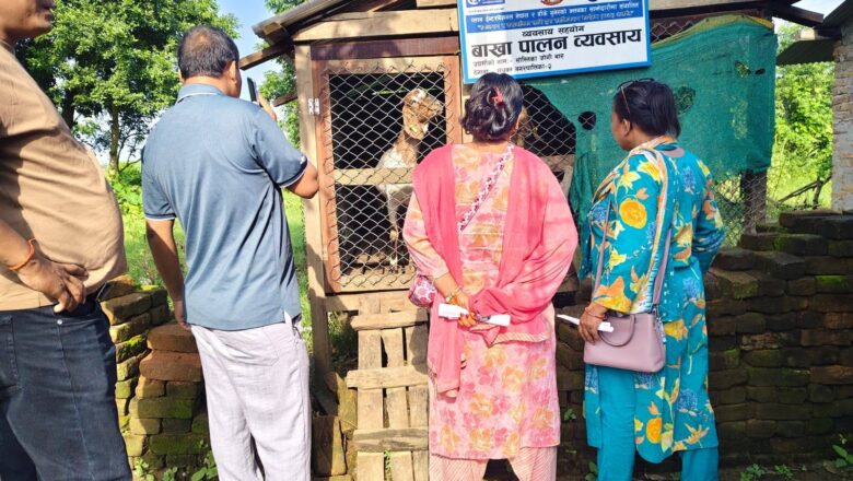 युवा उद्यमको अवस्था बुझ्न मधुवन र ठाकुरबाबामा संयुक्त स्थलगत अनुगमन